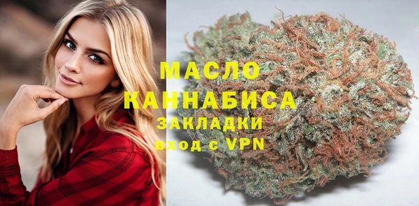 хмурый Арсеньев