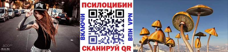 закладка  мега ТОР  Галлюциногенные грибы GOLDEN TEACHER  Новоалтайск 